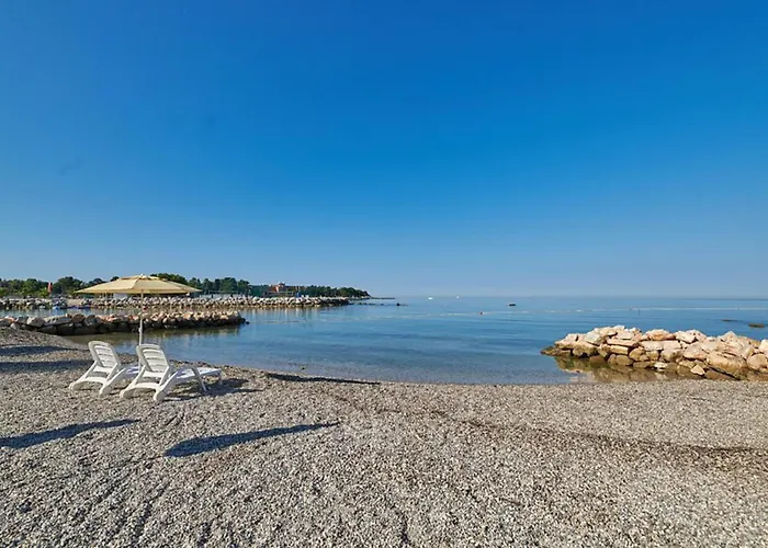 Lovely In With Wifi Umag